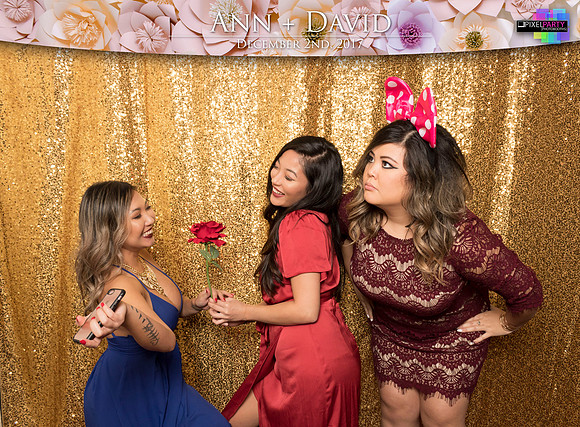 60300 - Ann + David Wedding Photobooth 2017