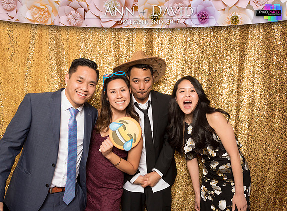 60496 - Ann + David Wedding Photobooth 2017