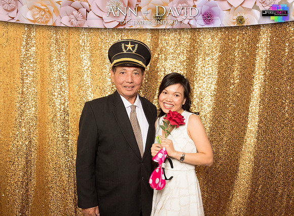 60433 - Ann + David Wedding Photobooth 2017