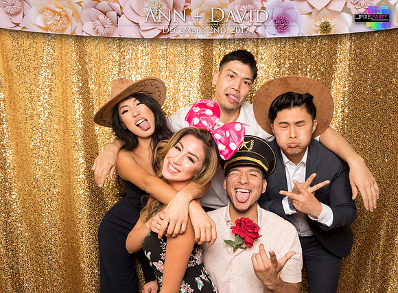 60531 - Ann + David Wedding Photobooth 2017