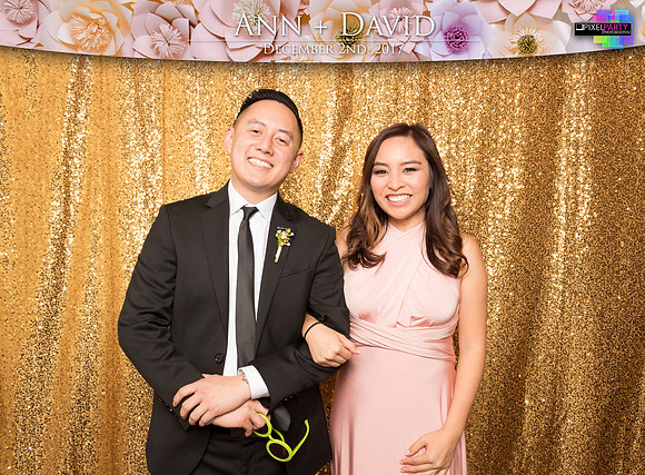 60189 - Ann + David Wedding Photobooth 2017