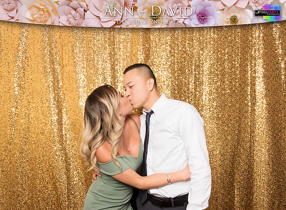 60456 - Ann + David Wedding Photobooth 2017