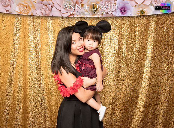 60330 - Ann + David Wedding Photobooth 2017
