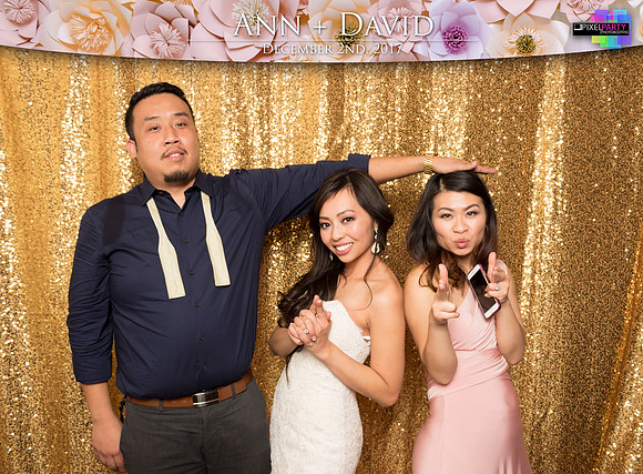 60544 - Ann + David Wedding Photobooth 2017