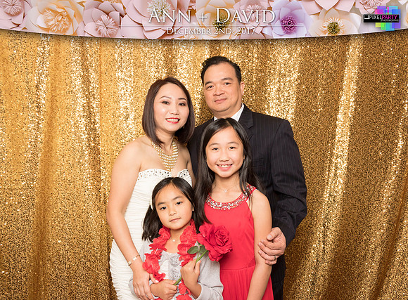 60383 - Ann + David Wedding Photobooth 2017