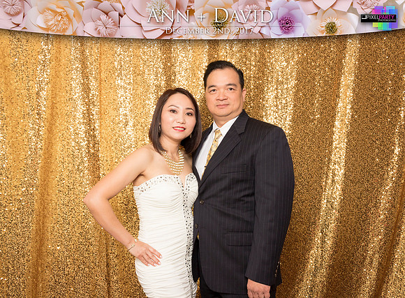 60386 - Ann + David Wedding Photobooth 2017