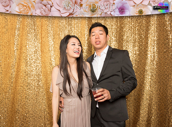 60493 - Ann + David Wedding Photobooth 2017