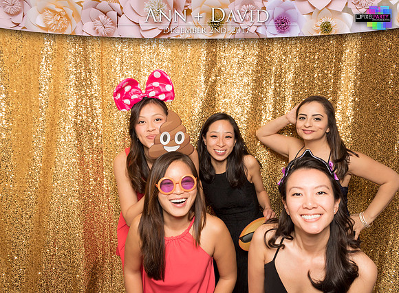 60219 - Ann + David Wedding Photobooth 2017