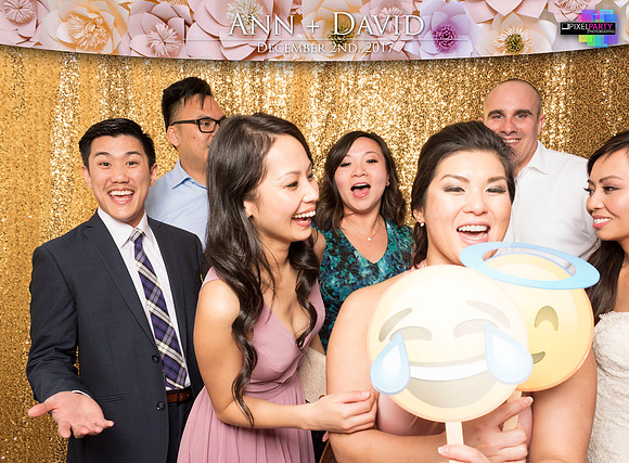 60516 - Ann + David Wedding Photobooth 2017