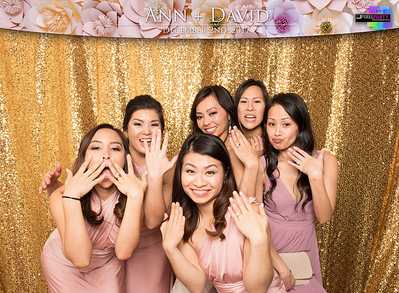 60547 - Ann + David Wedding Photobooth 2017