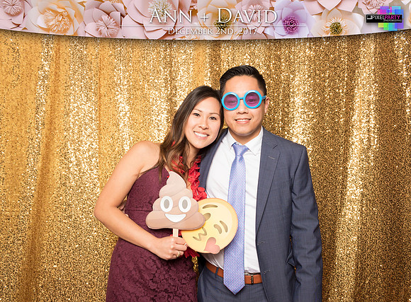 60487 - Ann + David Wedding Photobooth 2017