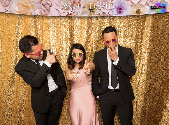 60197 - Ann + David Wedding Photobooth 2017