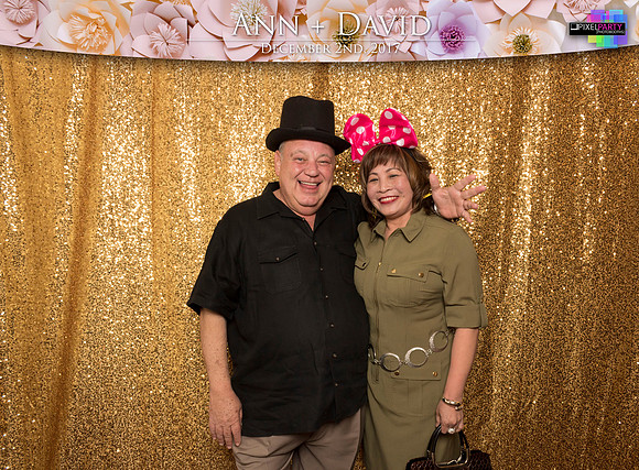 60051 - Ann + David Wedding Photobooth 2017