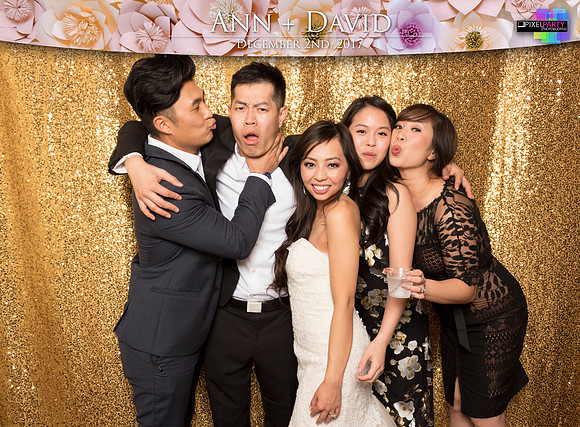 60525 - Ann + David Wedding Photobooth 2017