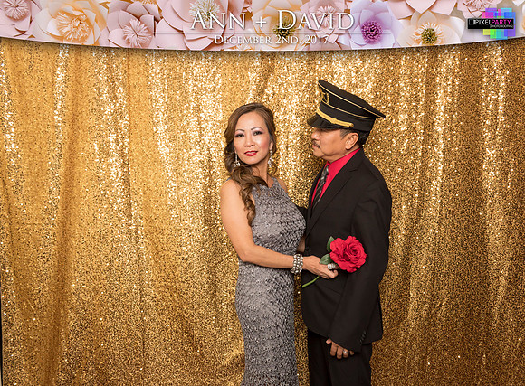 60097 - Ann + David Wedding Photobooth 2017