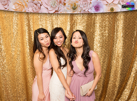 60555 - Ann + David Wedding Photobooth 2017