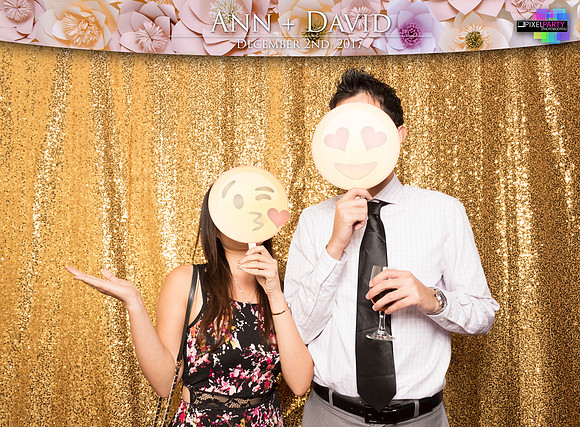 60468 - Ann + David Wedding Photobooth 2017