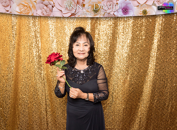 60420 - Ann + David Wedding Photobooth 2017
