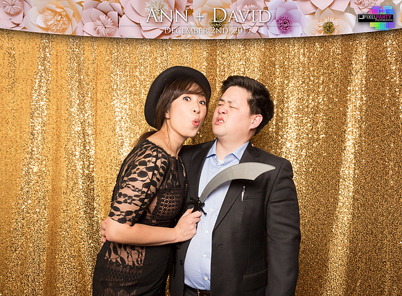 60439 - Ann + David Wedding Photobooth 2017