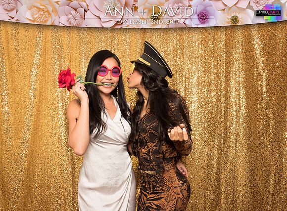 60169 - Ann + David Wedding Photobooth 2017