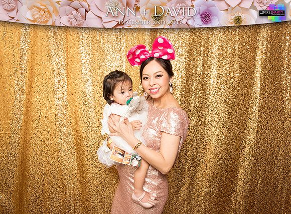 60403 - Ann + David Wedding Photobooth 2017