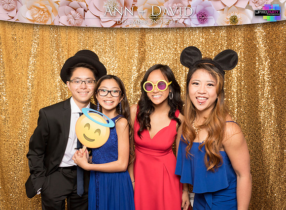 60140 - Ann + David Wedding Photobooth 2017