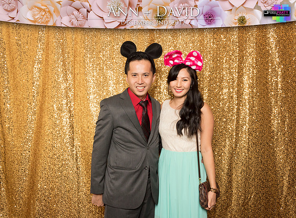 60101 - Ann + David Wedding Photobooth 2017