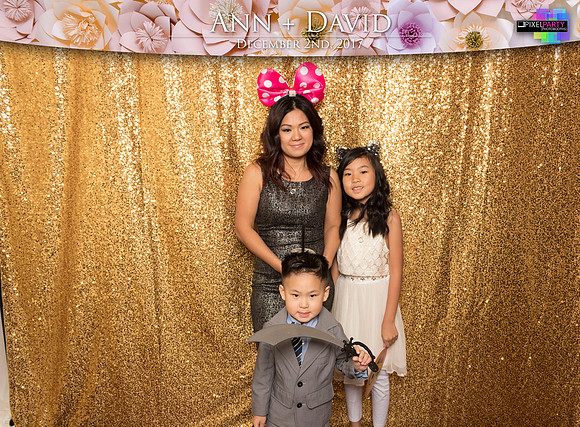 60132 - Ann + David Wedding Photobooth 2017