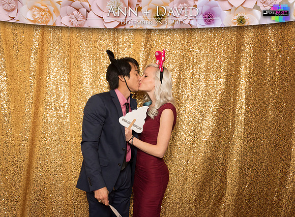 60067 - Ann + David Wedding Photobooth 2017