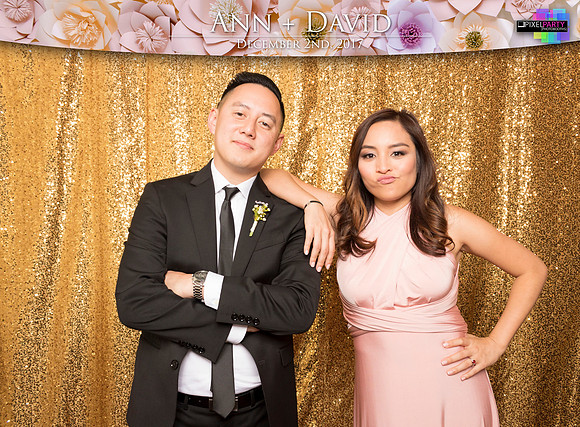 60188 - Ann + David Wedding Photobooth 2017
