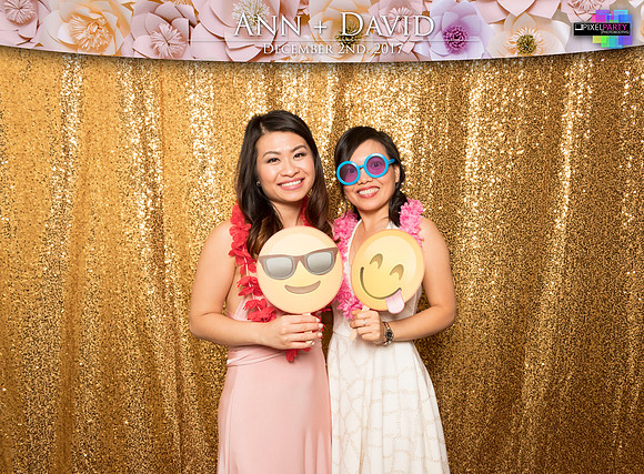 60281 - Ann + David Wedding Photobooth 2017