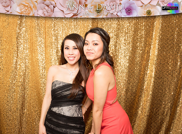 60354 - Ann + David Wedding Photobooth 2017