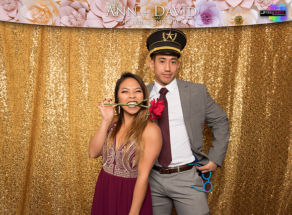 60060 - Ann + David Wedding Photobooth 2017