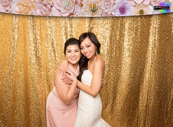 60523 - Ann + David Wedding Photobooth 2017