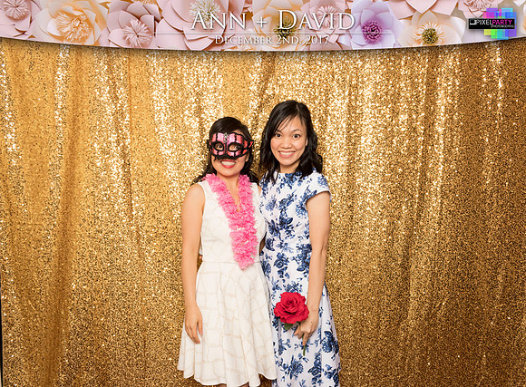 60091 - Ann + David Wedding Photobooth 2017