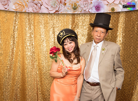 60204 - Ann + David Wedding Photobooth 2017