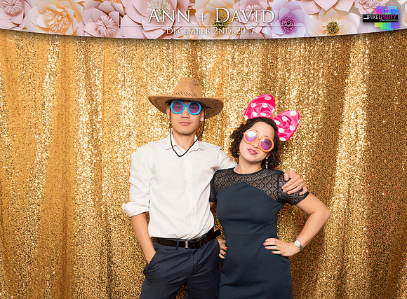 60246 - Ann + David Wedding Photobooth 2017