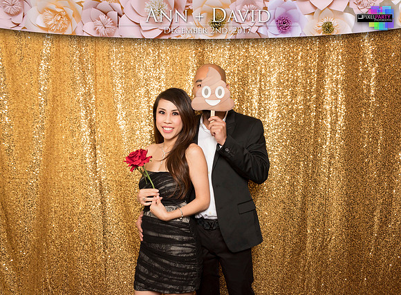 60170 - Ann + David Wedding Photobooth 2017