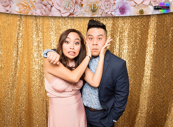 60209 - Ann + David Wedding Photobooth 2017