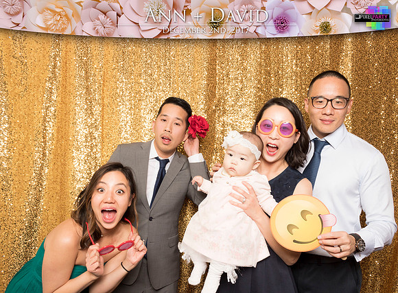 60256 - Ann + David Wedding Photobooth 2017