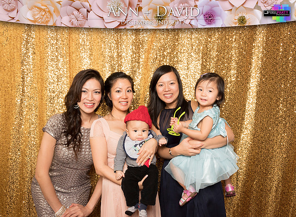 60326 - Ann + David Wedding Photobooth 2017