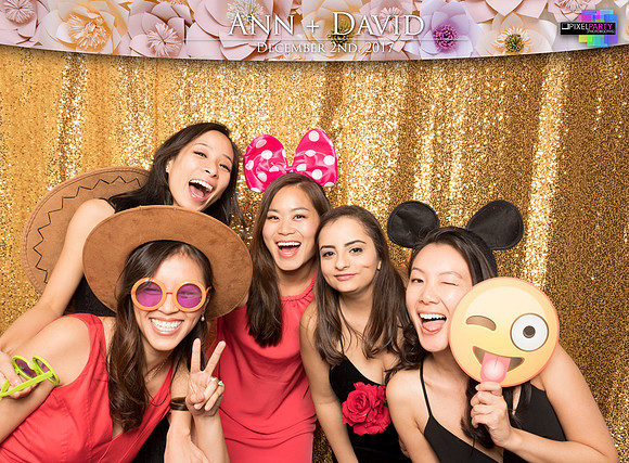 60216 - Ann + David Wedding Photobooth 2017