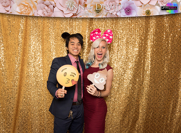 60065 - Ann + David Wedding Photobooth 2017