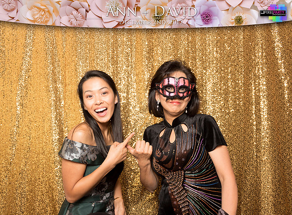 60466 - Ann + David Wedding Photobooth 2017
