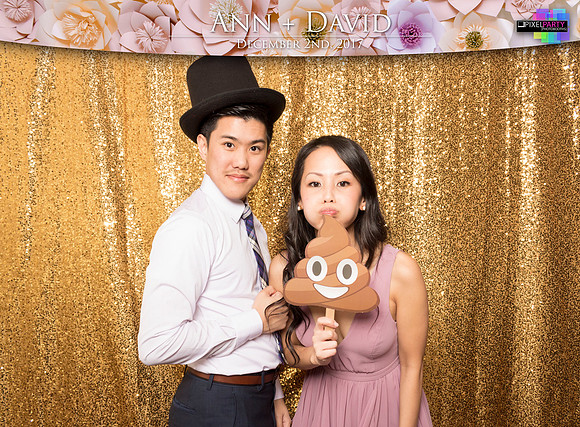 60460 - Ann + David Wedding Photobooth 2017