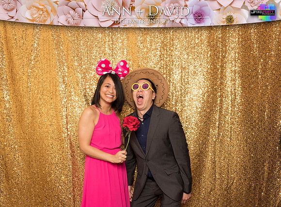 60147 - Ann + David Wedding Photobooth 2017