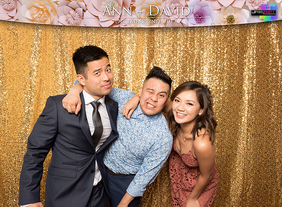 60289 - Ann + David Wedding Photobooth 2017