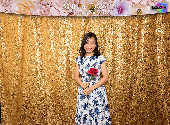 60093 - Ann + David Wedding Photobooth 2017