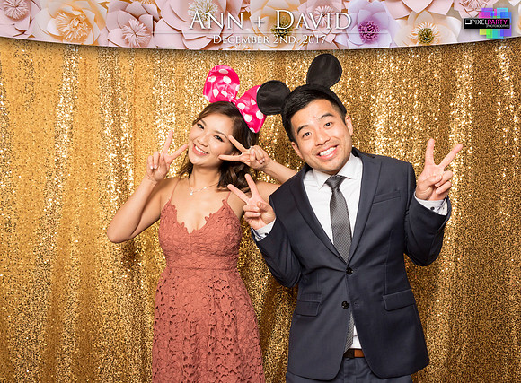 60295 - Ann + David Wedding Photobooth 2017