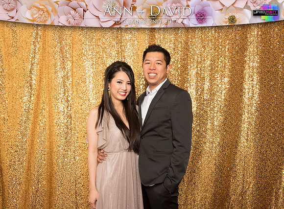 60179 - Ann + David Wedding Photobooth 2017